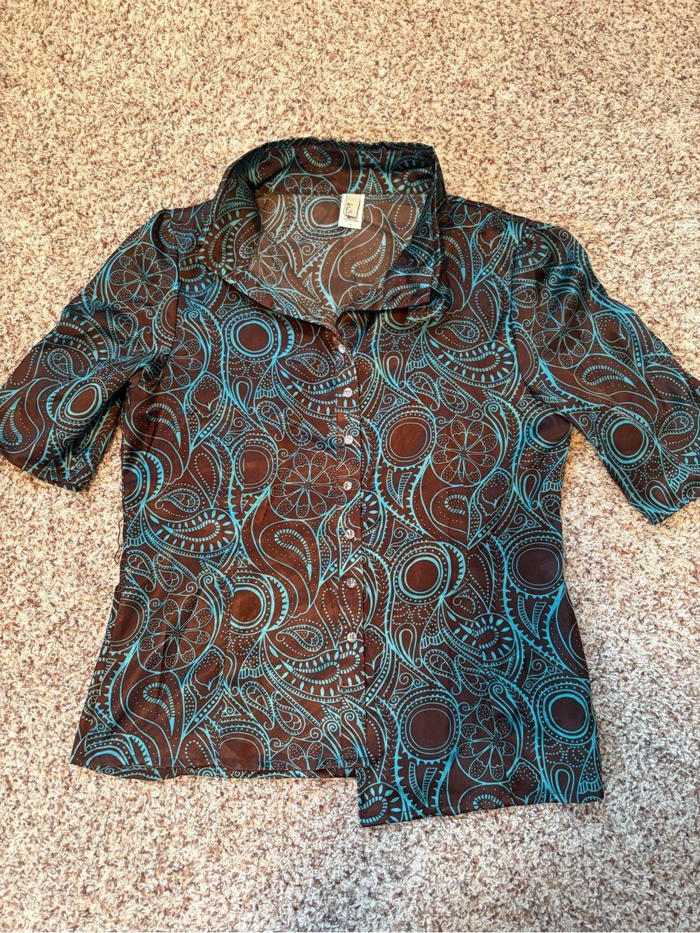 Kiwi Teal and Brown Paisley Button-Down Shirt